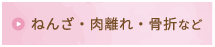 ねんざ・肉離れ・骨折など