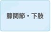 膝関節・下肢