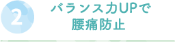 バランス力UPで腰痛防止