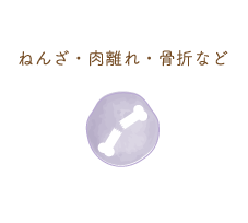 ねんざ・肉離れ・骨折など